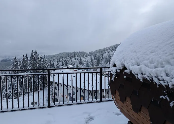 Pine & Wine Sauna Apartment Pamporovo