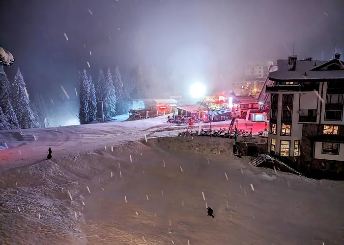 Pine & Wine Sauna Apartment *