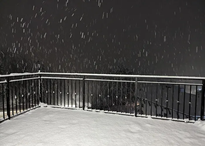 Pine & Wine Sauna * Pamporowo