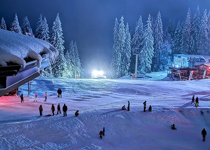 Pine & Wine Sauna Apartment Pamporovo